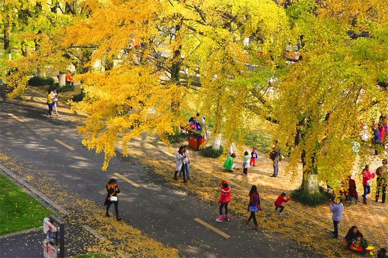 2022四川志愿填报学校数目,四川本科志愿填报多少个学校