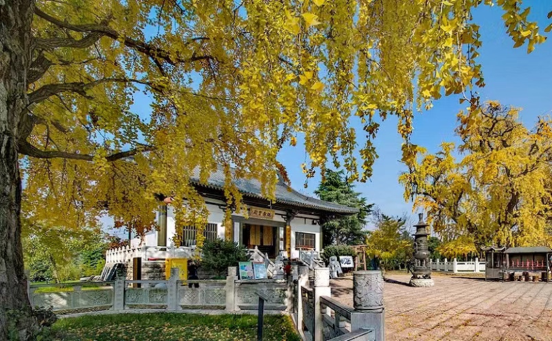 南京十大古寺分布区,南京十大寺庙哪一座离火车站最近