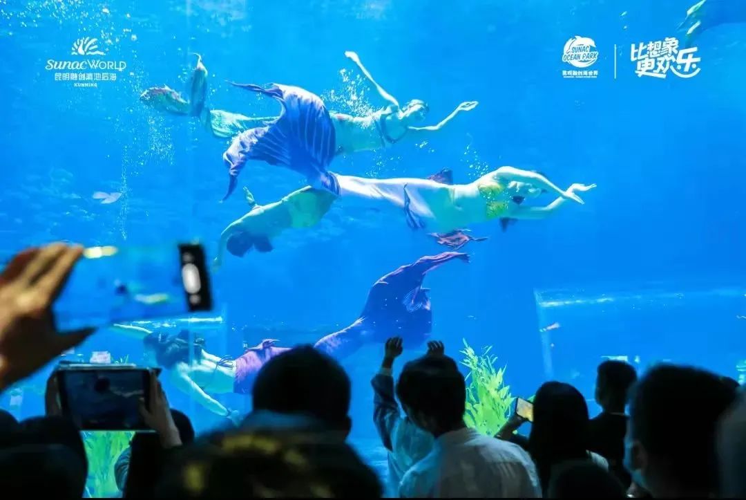 关注|@全国考生来云南这些景区，优惠、免费！