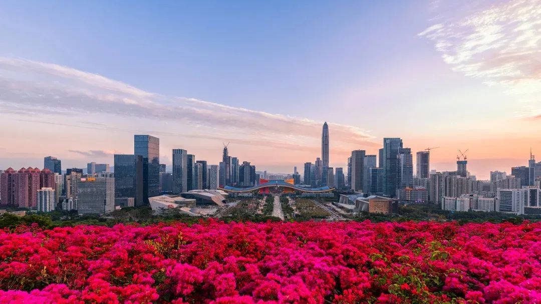 福田未来重点项目,深圳福田区重点项目