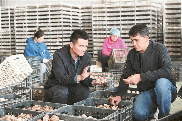 兵团创翼创新创业大赛,新疆创新创业兵团