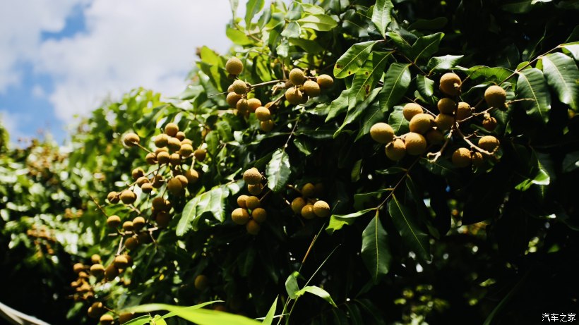 平沙露营地方,珠海平沙公园可以露营过夜吗