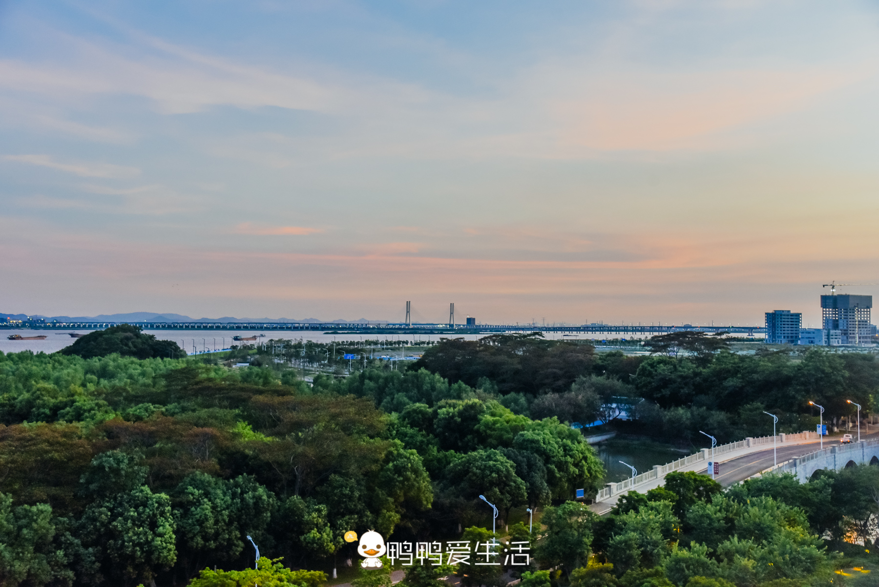 广州南沙网红酒店推荐,广州瑰丽网红酒店打卡地