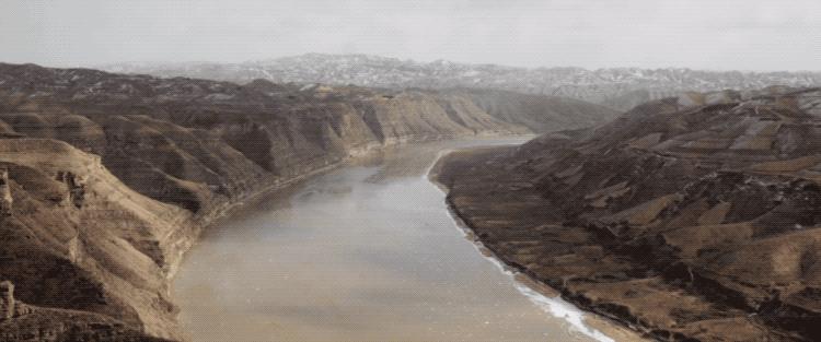 今年第一部黑马片:全员草根,无数明星热捧