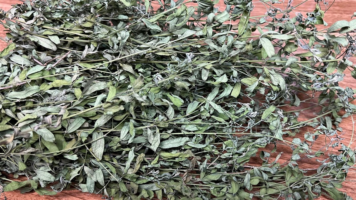 入秋后遇见这菜别手软,立秋后遇到这菜千万别错过