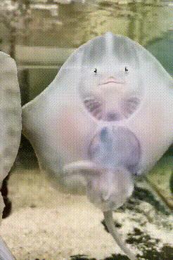 误发给女房东的微信,给老婆发短信误发给了女房东