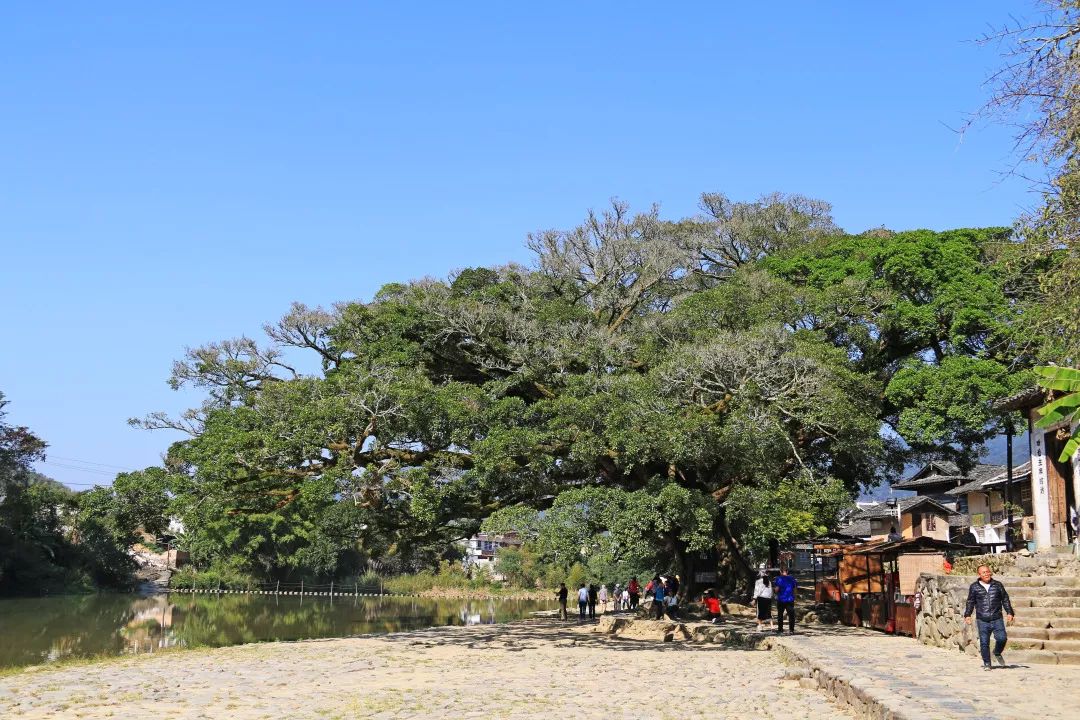 厦门亲子旅行攻略,厦门北站亲子宾馆
