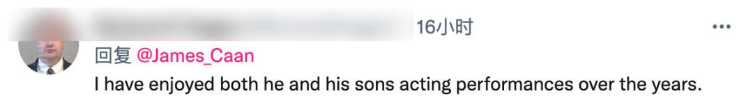 詹姆斯肯恩桑尼,教父长子桑尼扮演者