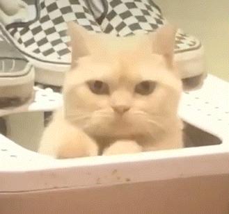 顺产还是剖腹产,不管顺产还是剖腹产坐月子别瞎忙