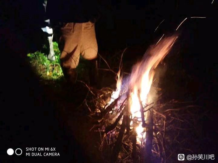 流浪日记游戏,流浪日记无限金币版