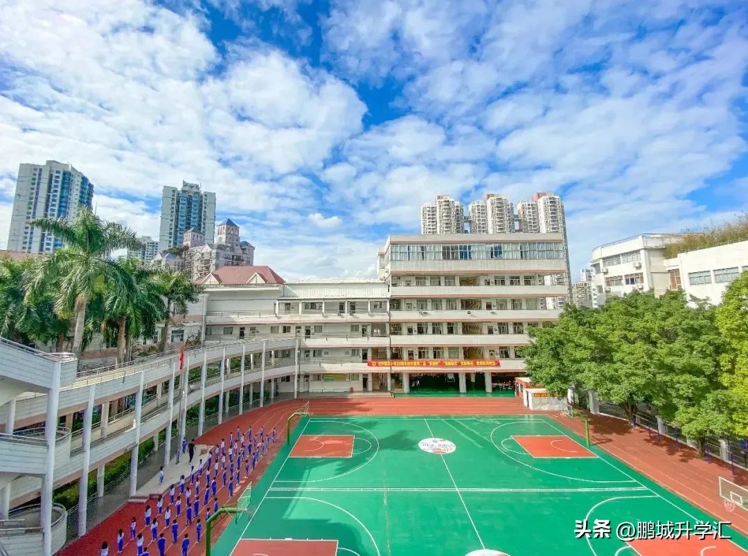 深圳李松蓢附近的小学,深圳容易上的学校