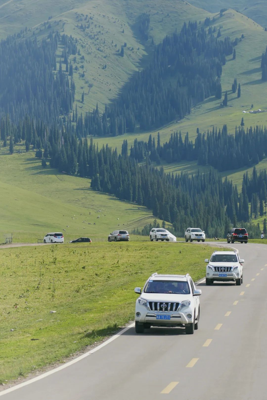 从伊犁出发的南北疆旅游攻略,火爆的新疆游