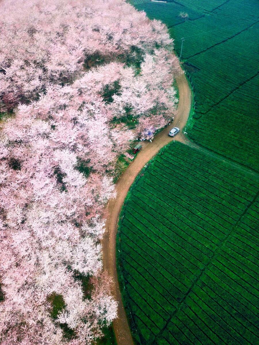 贵州自由行旅游攻略最佳八天线路,贵州自由行攻略游玩路线推荐三天