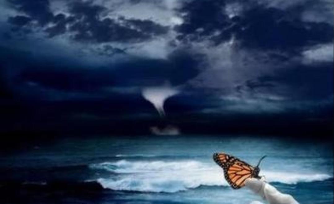 美国释放24万只转基因蚊子！全球紧急拉响警报，转基因有何可怕？