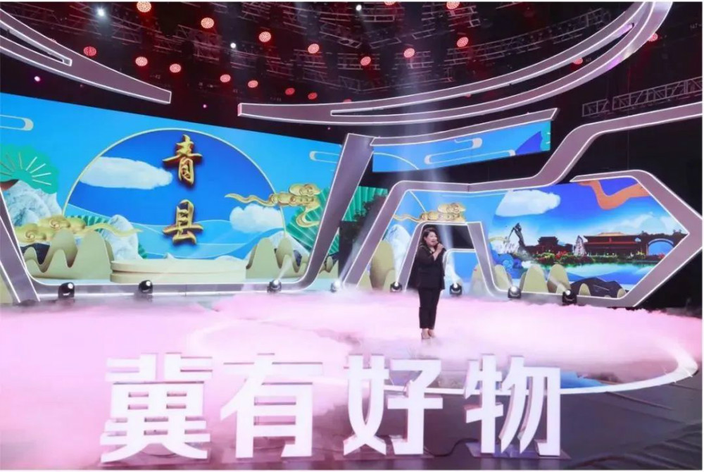 冀有好物安平丝网博览会专场,河北经济频道冀有好物跑步鞋