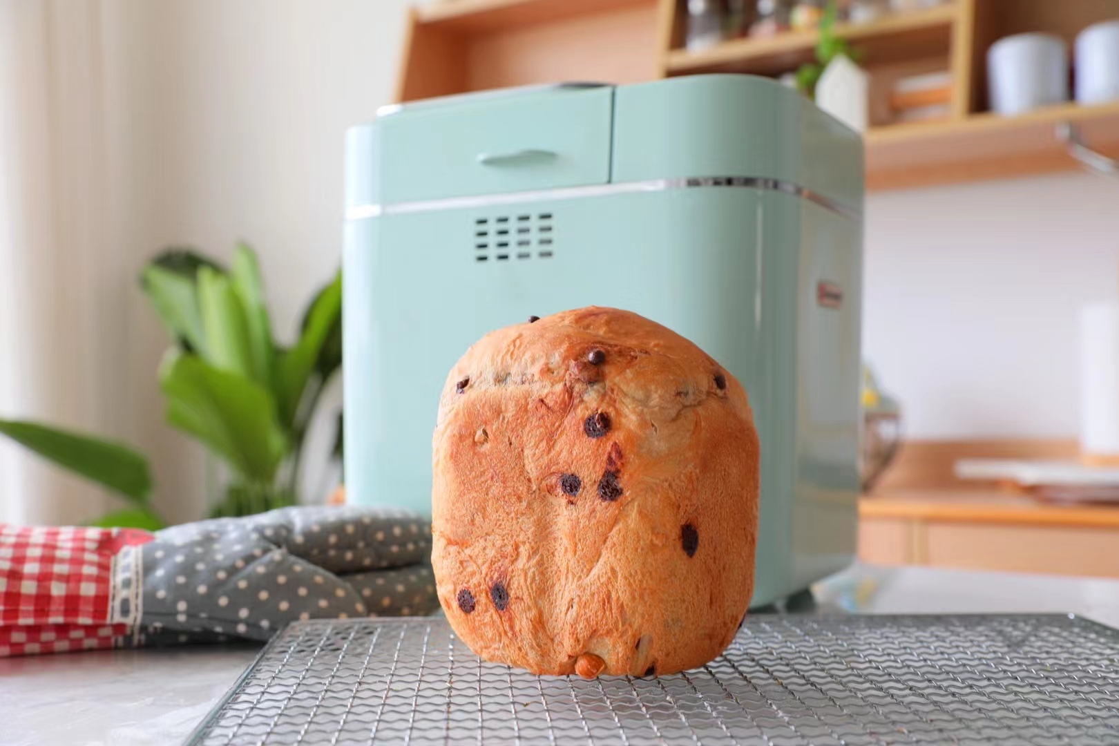 海氏a5全自动面包机无糖面包,海氏面包机a5测评