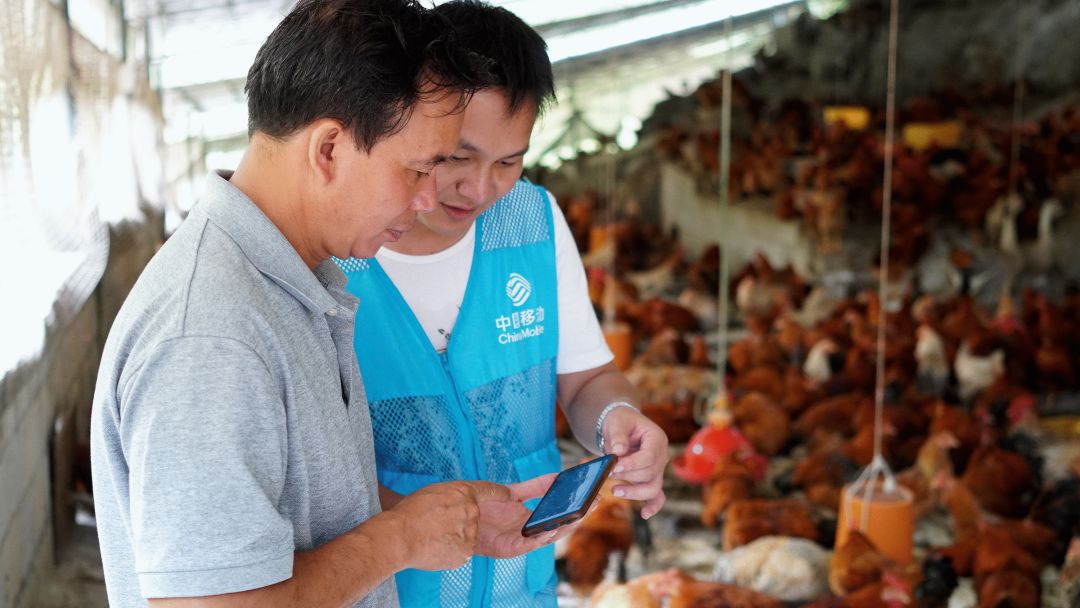 蜜甜，菜甜，幸福的生活更甜