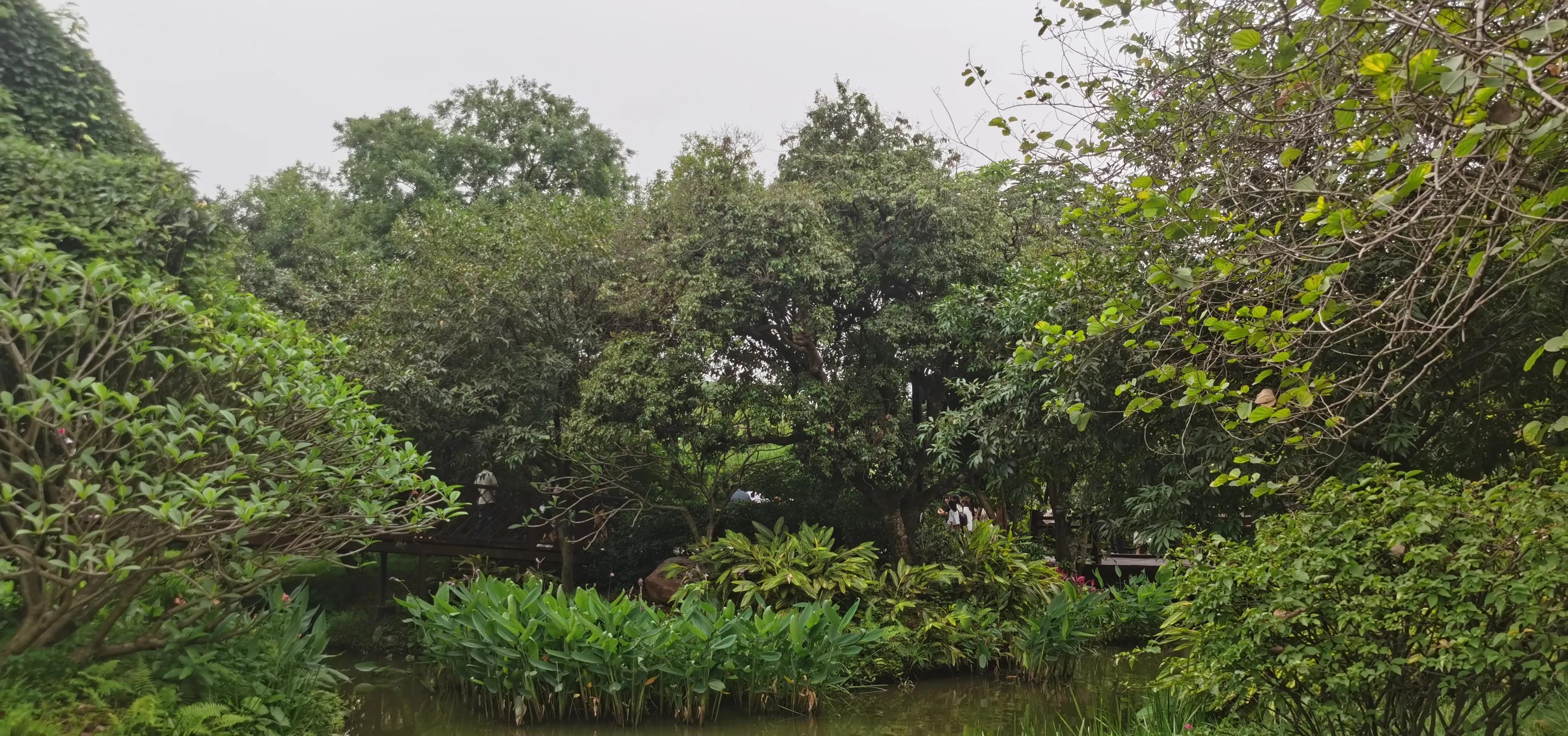 海珠湖湿地公园观鸟,海珠湖湿地公园地图