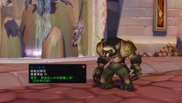 魔兽wlk所有声望战袍,wlk狂心者声望奖励