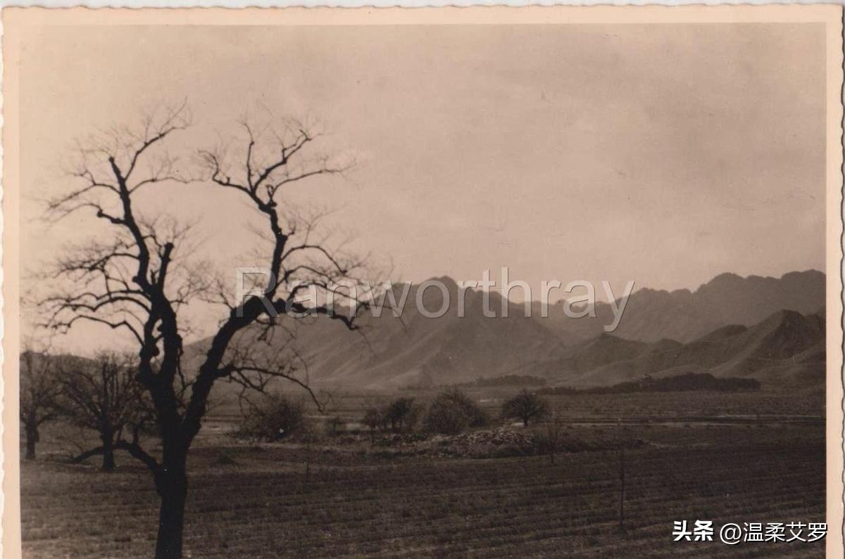 日军日记：路遇逃难的女学生，我将她的腿骨做成了锋利的*刀刺**!