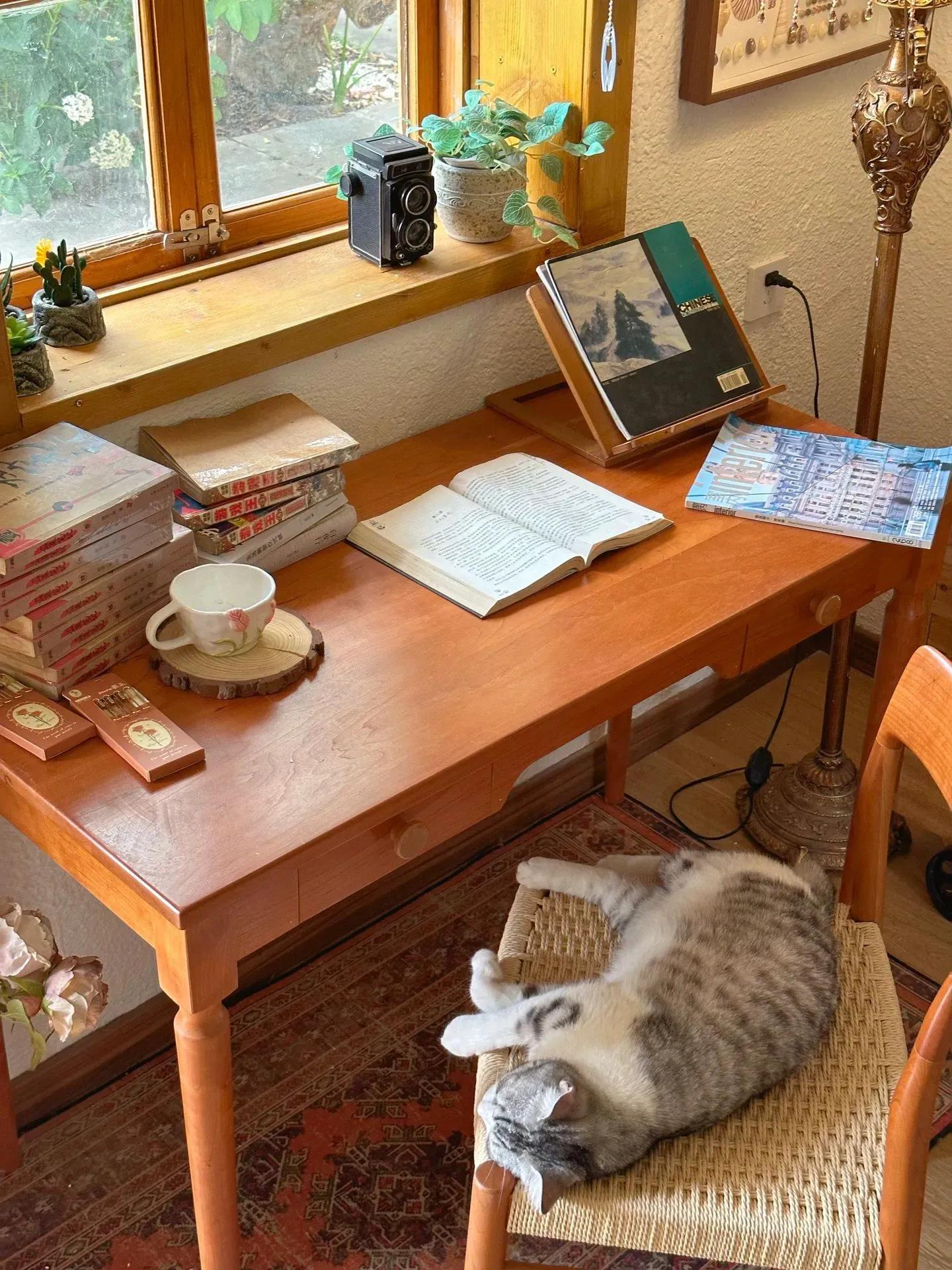 分享好看的房间,看得见风景的房间电影完整版