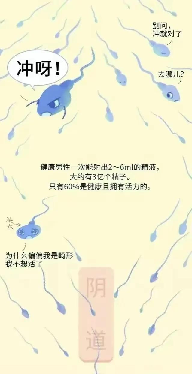 绮惧瓙杩涘叆浜轰綋24灏忔椂鍙樺寲,绮惧瓙杩涘叆浜轰綋1灏忔椂鍙樺寲