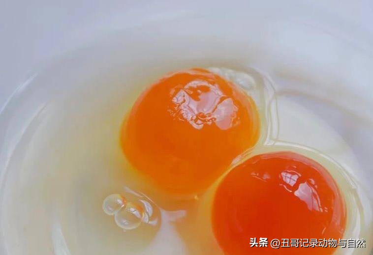 咸鸡蛋多少天入味,咸鸡蛋味道