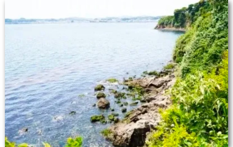 买下日本小岛的女子现在怎么样了,中国女孩买下日本一小岛