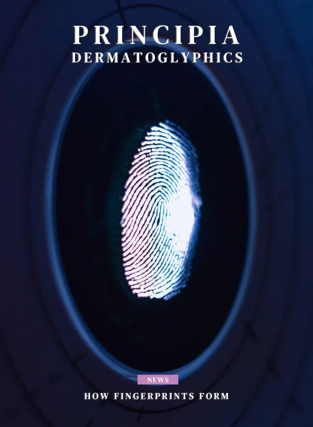 指纹真的是独一无二的吗,为什么指纹只可以识别一个