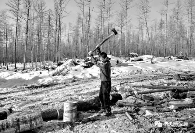 北大荒知青生活叙事诗——北大荒“游击词”100篇
