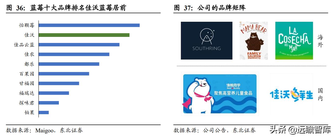 佳沃智利新三文鱼工厂,佳沃食品智利三文鱼