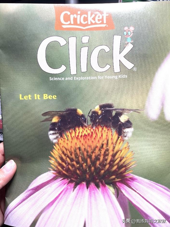 推荐订阅的儿童杂志有哪些,中国含金量高的儿童杂志推荐