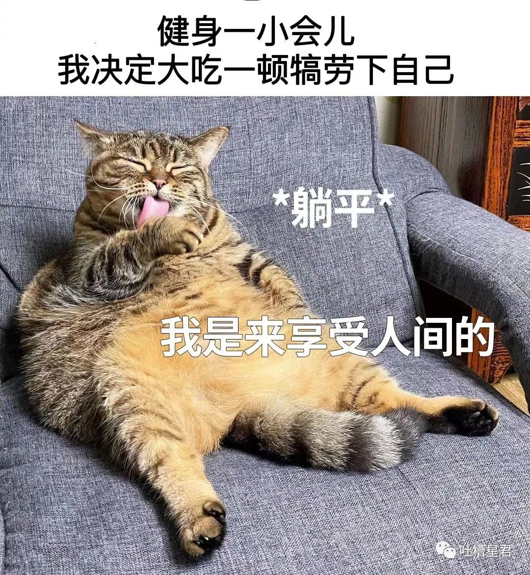 大s刚结婚时候的访谈,大s刚刚结婚的视频