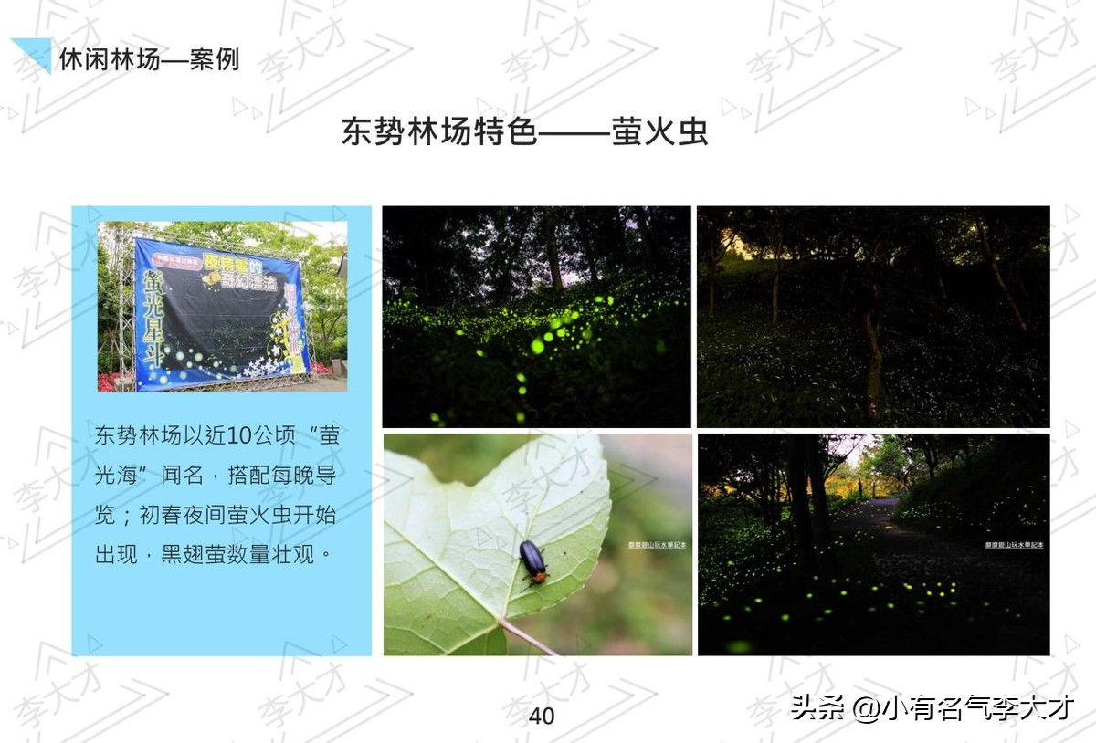 台湾乡村振兴战略案例,中国乡村振兴实施的成功案例