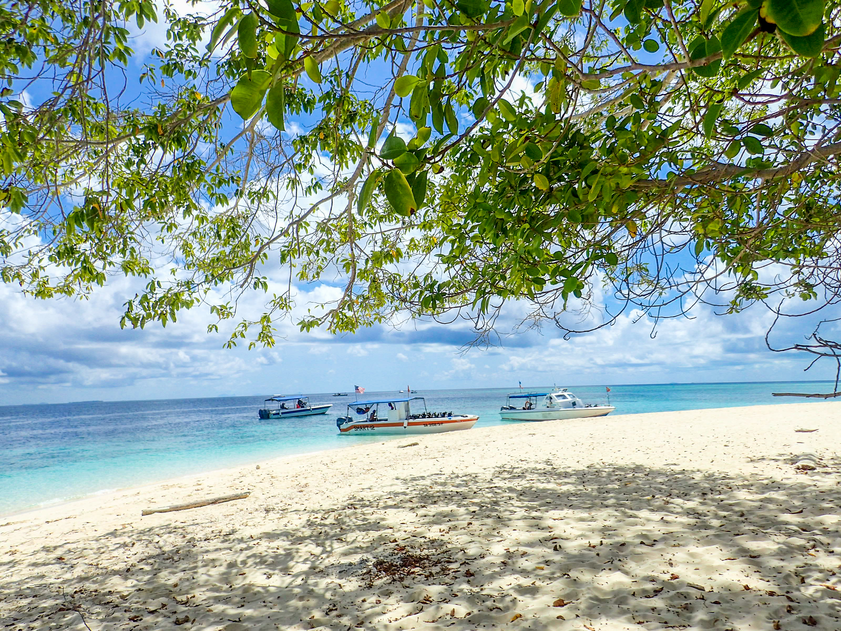 马来西亚仙本那海底,潜水马来西亚仙本那