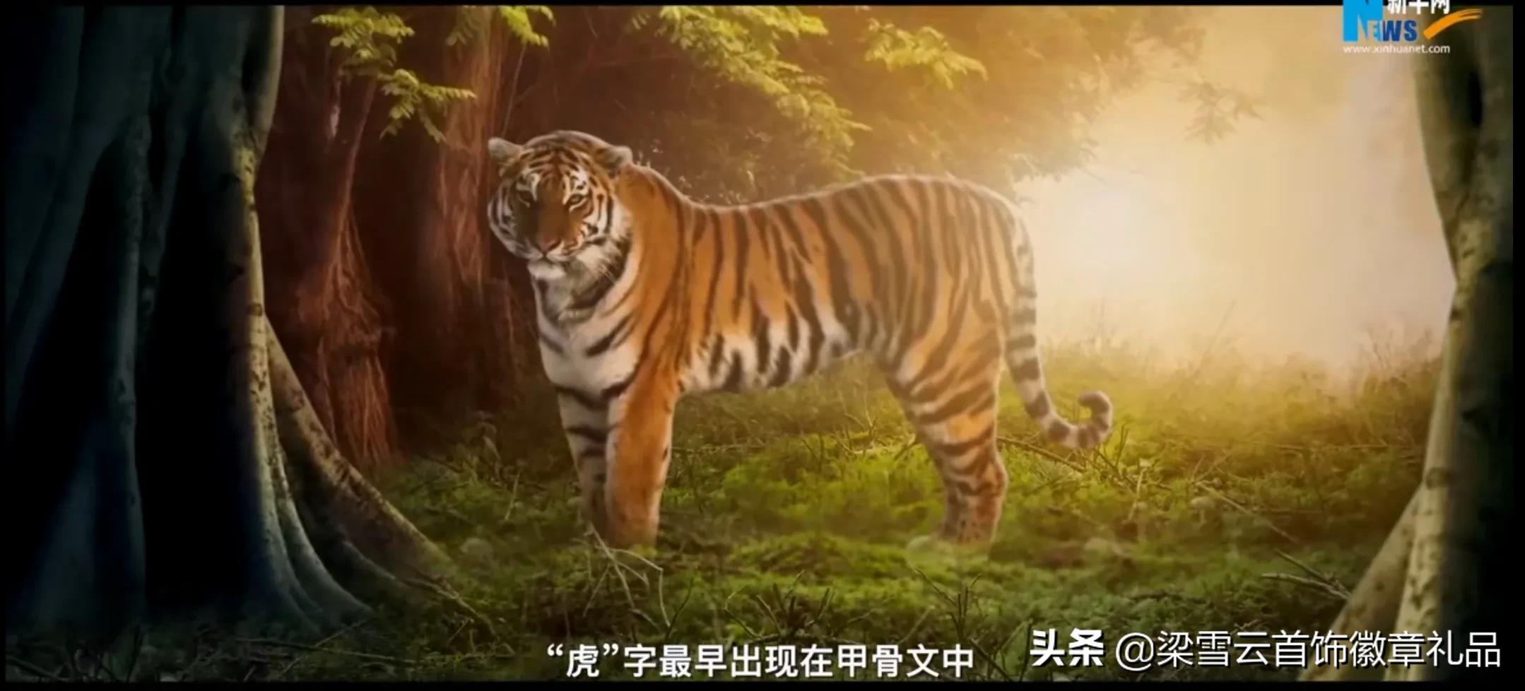 2022年壬寅虎是什么意思,2022壬寅虎年是什么虎