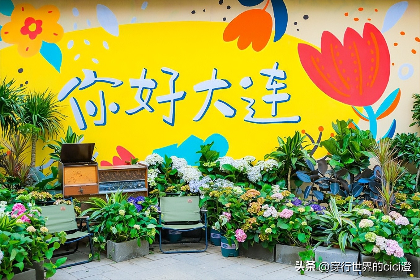 大连一日游都可以玩什么,大连一日游旅游攻略