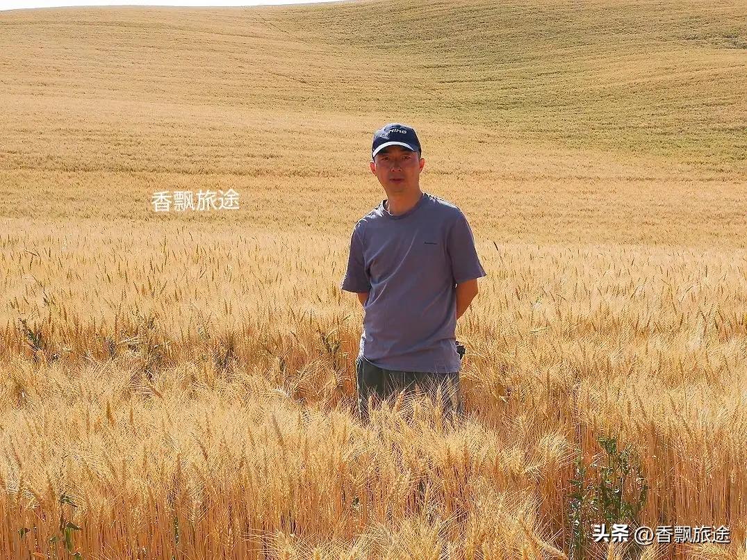 新疆伊犁州江布拉克,新疆奇台江布拉克