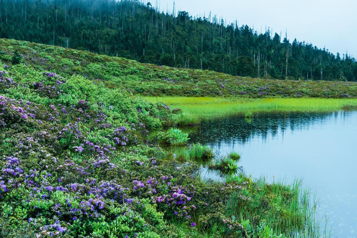 香格里拉最值得去的景点排名,香格里拉旅游必去的十大景点