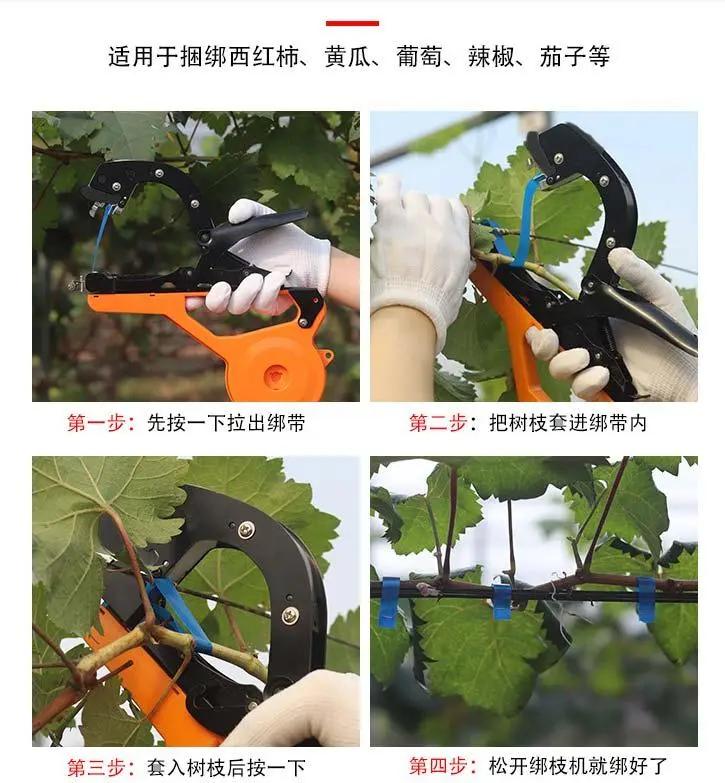 果树枝条绑扎机,果园树枝绑枝机