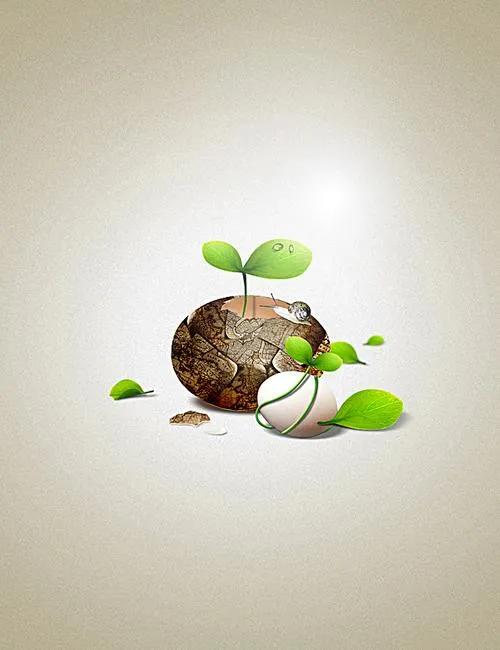 蜗牛高清壁纸4k全屏,蜗牛唯美动画壁纸