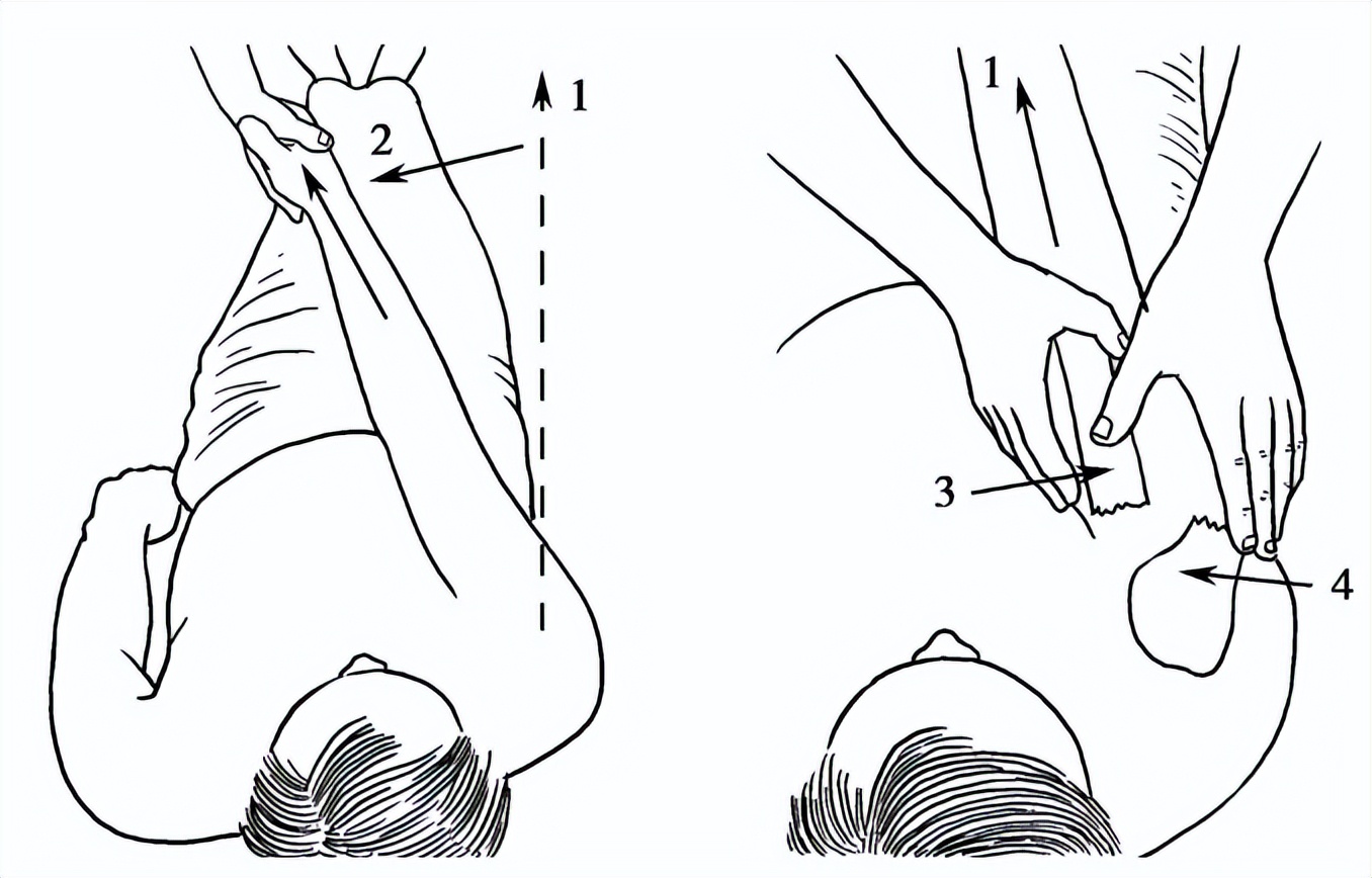四个注意全面预防骨质疏松,4个要点的剖析