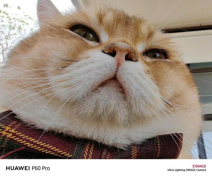 2023年华为性价比最高手机,2023年华为千元性价比最高的手机