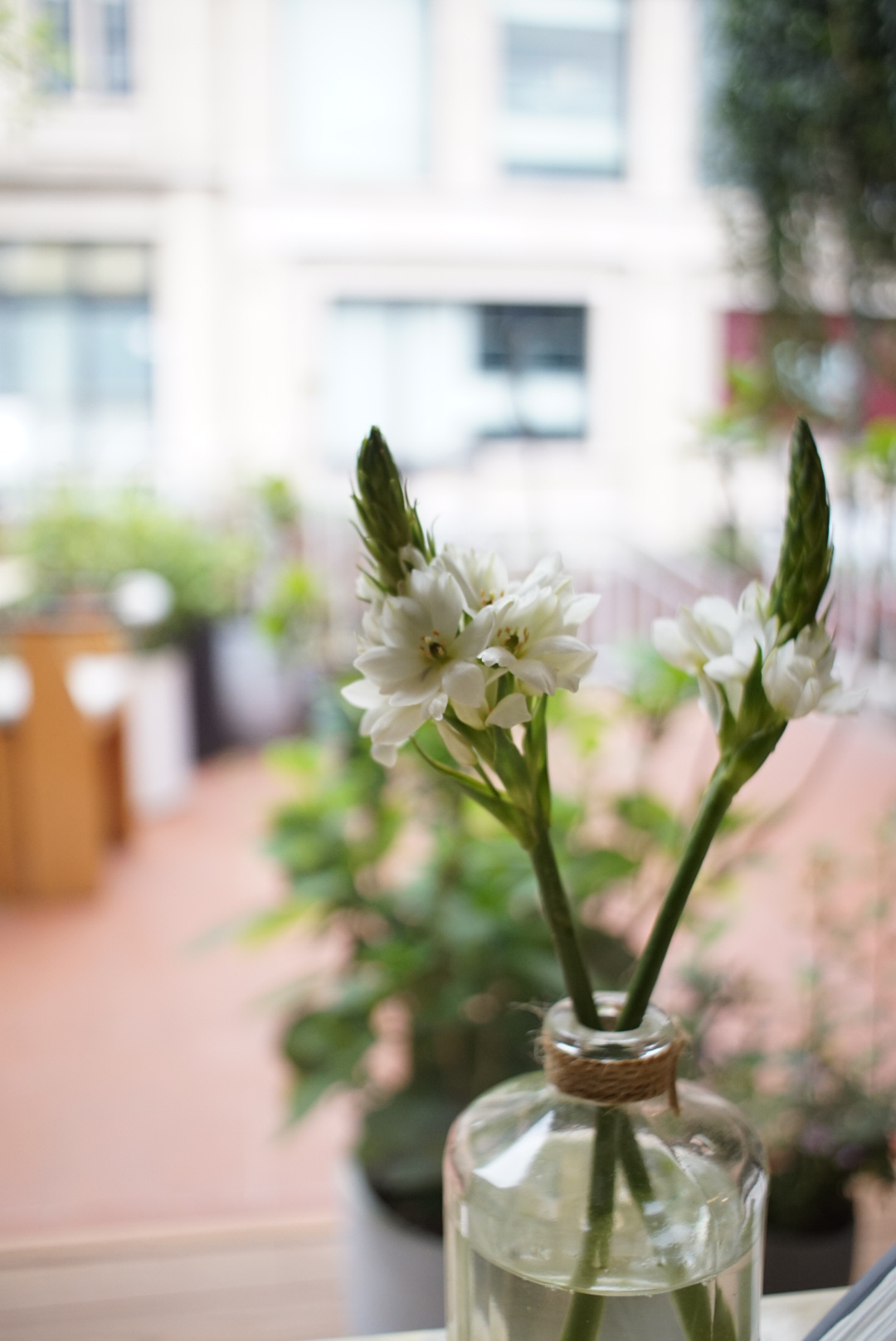 藏得很深的店探店,藏的很深的店