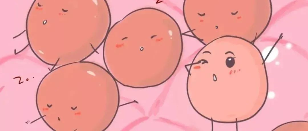 第二次试管移植冻胚的流程,试管第二胎移植流程