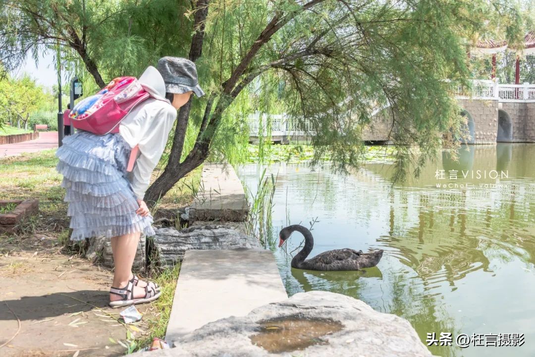 天津二宫关闭了么,天津二宫公园现在开放了吗