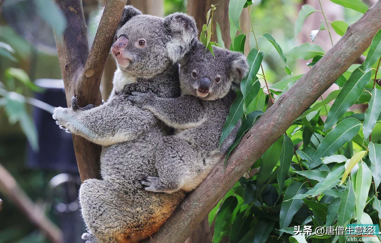 低成本营销方法,低成本做什么营销