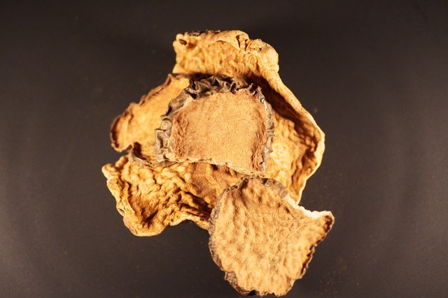 化痰止咳平喘药中药,平喘止咳化痰的药有哪些中药