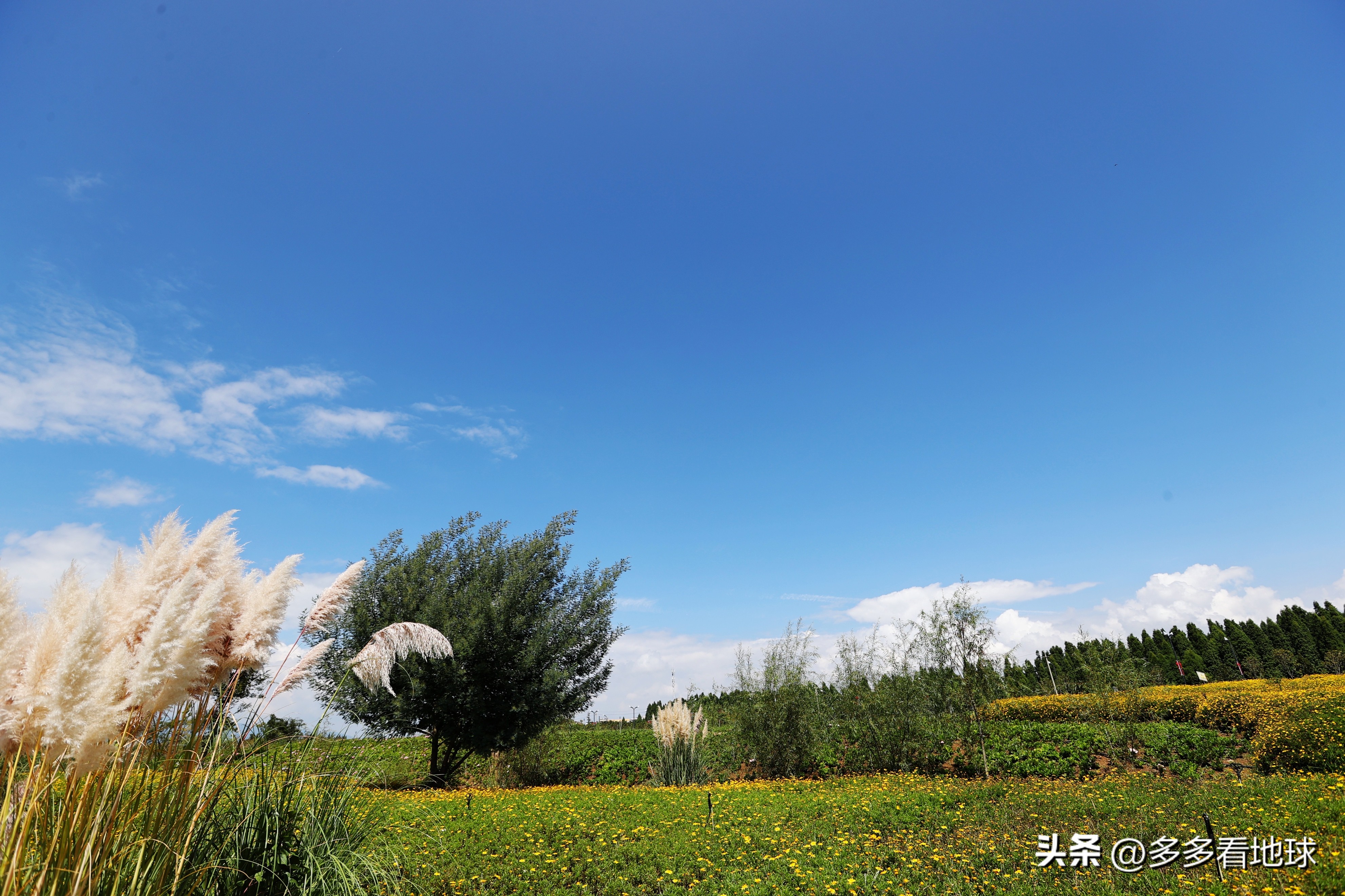 古滇名城滇池风景,云南高原明珠泸沽湖风光