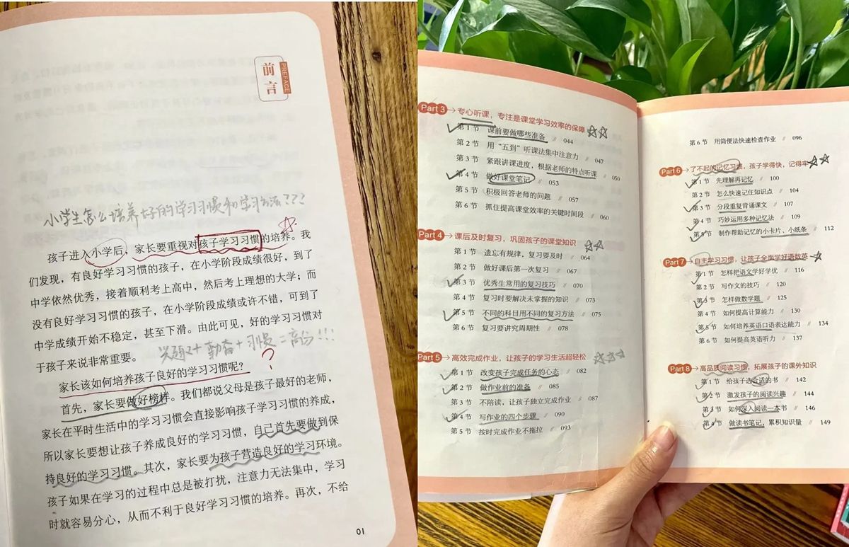 帮孩子养成学习好习惯关键是什么,给孩子养成好习惯才能有好成绩